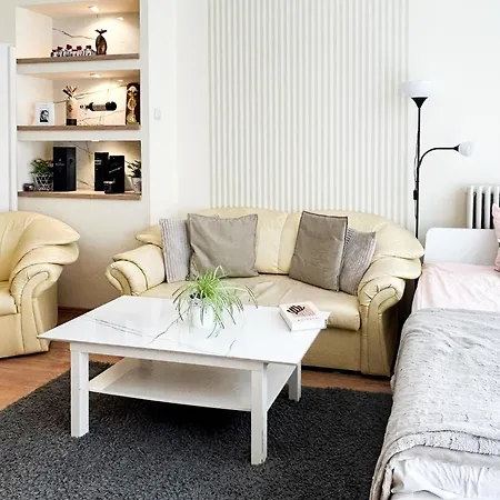Apartment Modern Literally In The Downtown